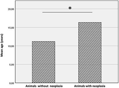 An Overview of Neoplasia in Captive Wild Felids in Southern Italy Zoos